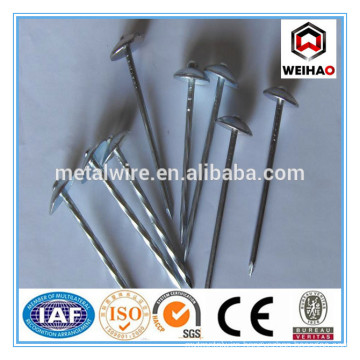 ISO 9001 Electro Galvanized Mushroom&umbrella head roofing nails